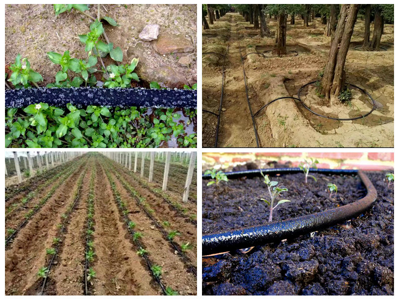 ท่อยาง Soaker ใช้เพื่อการชลประทานอย่างไร?